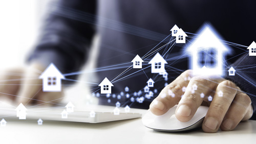 Damlex Realty