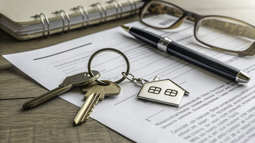 Damlex Realty